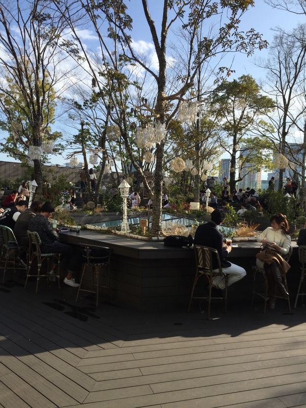 日本・千葉県「明治神宮の中に入ったことある？あるけど写メがない😂」の写真