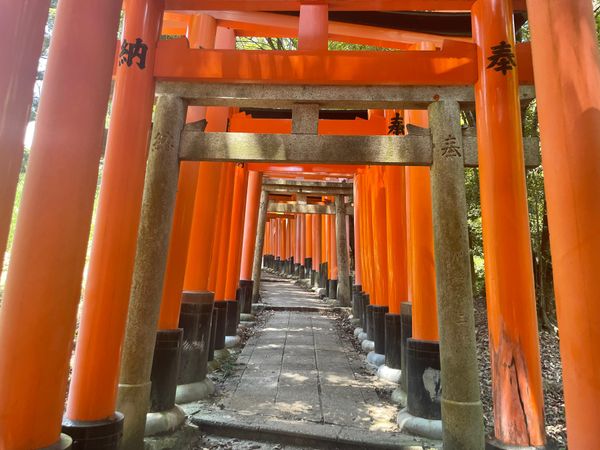 日本・京都府「京都はんなり旅」の写真