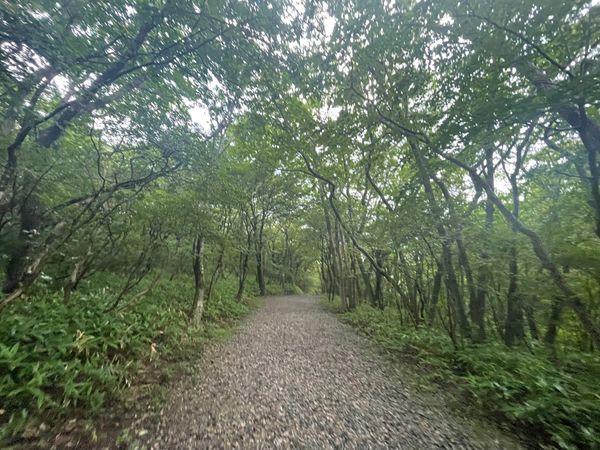 日本・那須「那須ドライブ」の写真