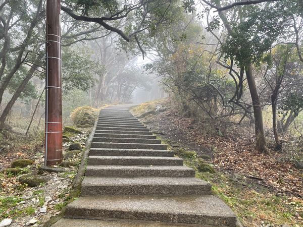 日本・千葉県「相方バースデー旅行」の写真