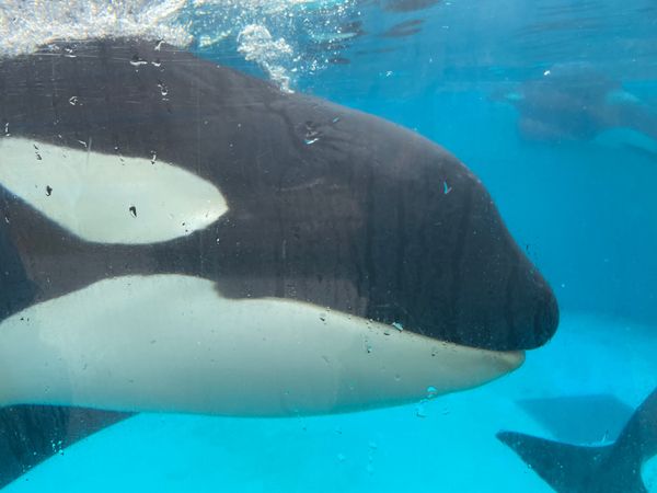 日本・千葉県「相方バースデー旅行」の写真