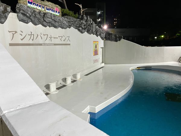 日本・千葉県「相方バースデー旅行」の写真