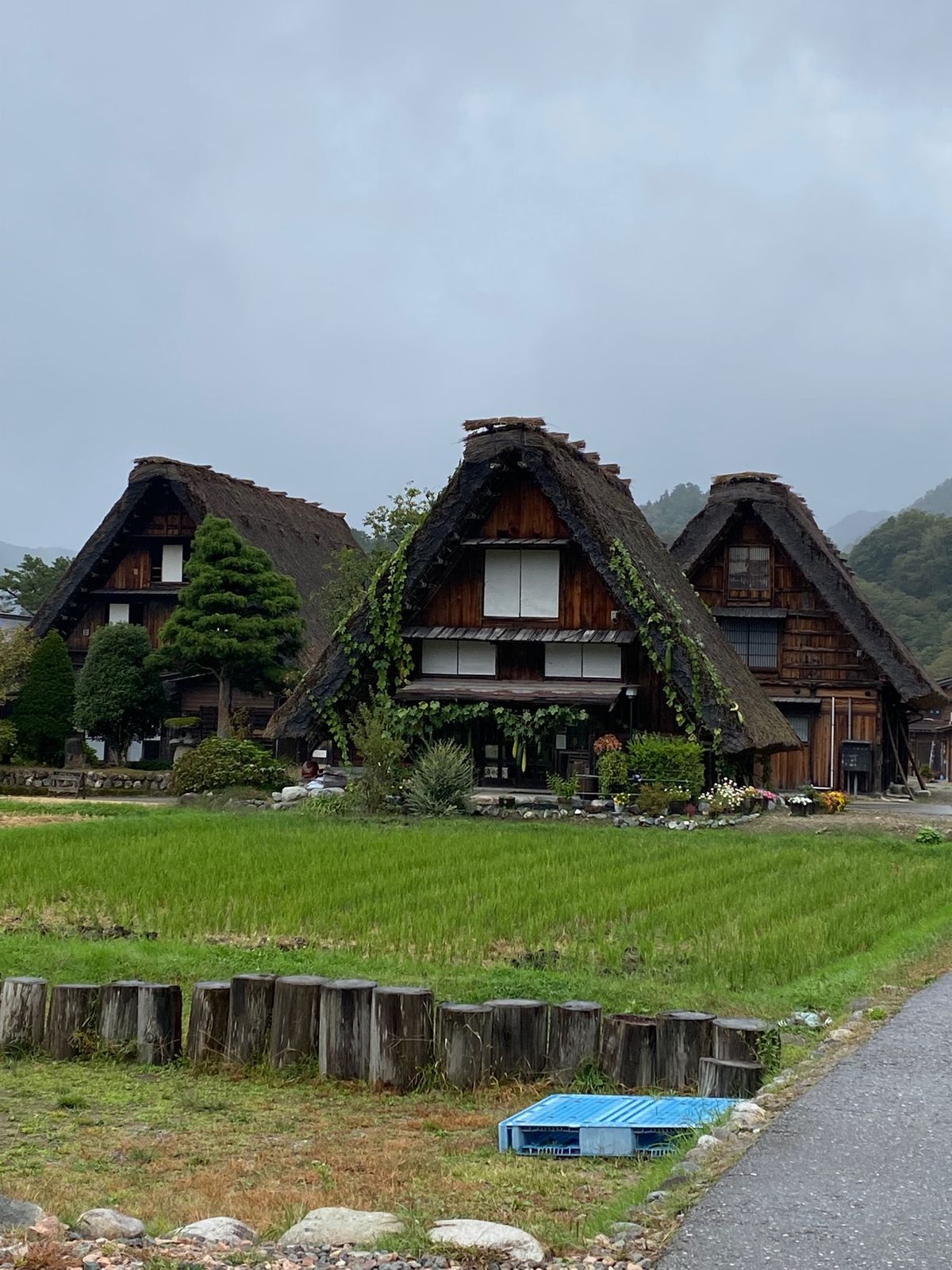 帰りの白川郷もよかった〜
寒いので食べた山菜そばも美味しかった