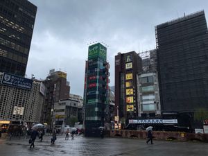 とりめし弁当。とりめしの付け合わせが唐揚げ。
東京駅の端っこ。
新橋駅前。