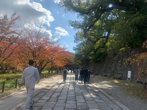 日本・和歌山県「和歌山日帰り旅」の写真