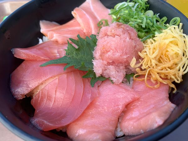 日本・和歌山県「和歌山日帰り旅」の写真