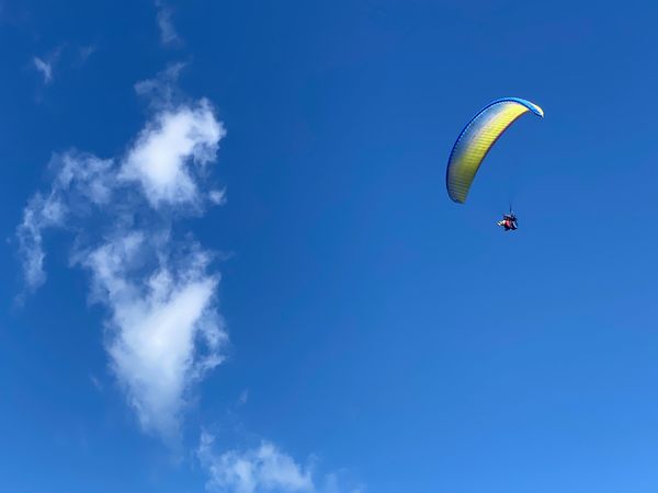 日本・東京都「空を飛ぶ。」の写真