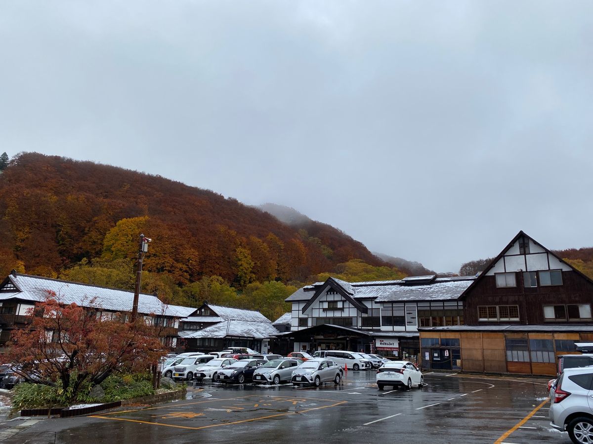 10月21日
早朝から酸ヶ湯温泉へ。城ケ倉大橋の紅葉が綺麗だった🍁