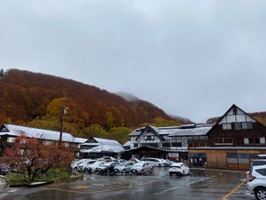 10月21日
早朝から酸ヶ湯温泉へ。城ケ倉大橋の紅葉が綺麗だった🍁