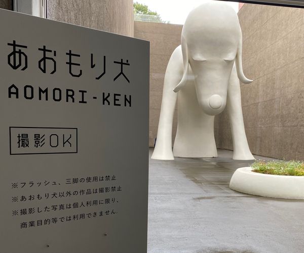 日本・北海道「青森の旅🚗💨」の写真：青森県立美術館と三内丸山遺跡へ