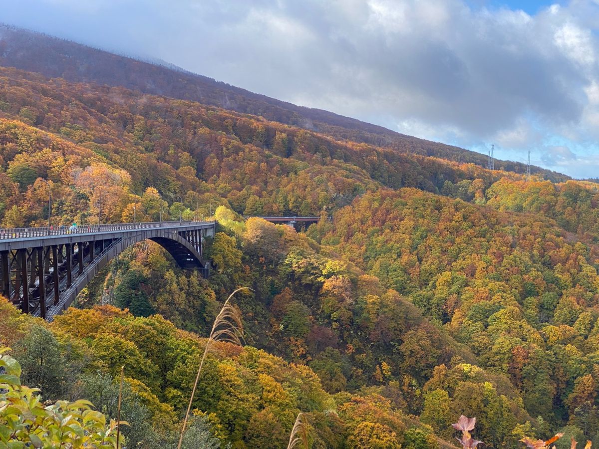 10月21日
早朝から酸ヶ湯温泉へ。城ケ倉大橋の紅葉が綺麗だった🍁