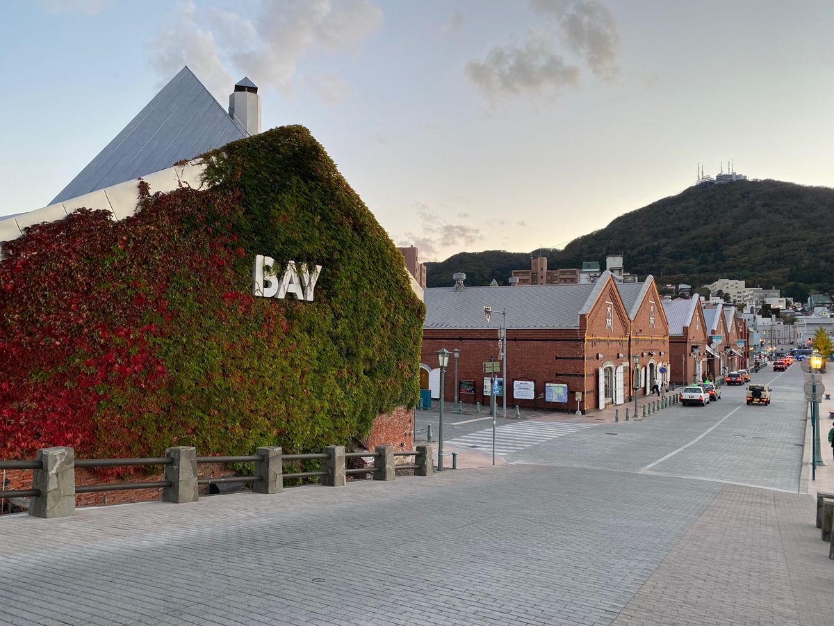 10月23日の朝のフェリーで函館へ。
函館でも美味しいものを食べて、24日帰宅。