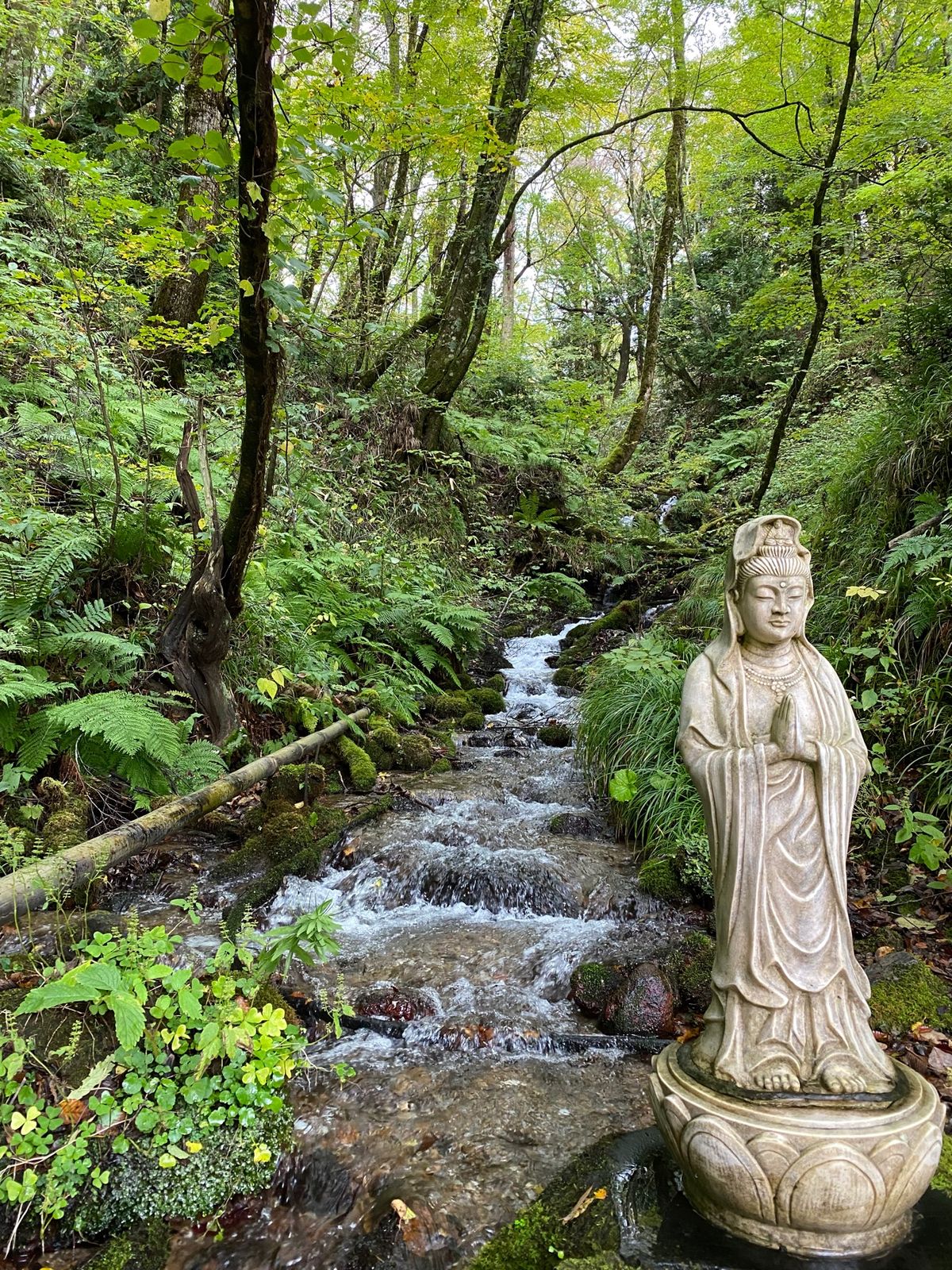 青池、沸壺の池
約1時間のトレッキング。