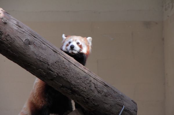 「北海道」の写真