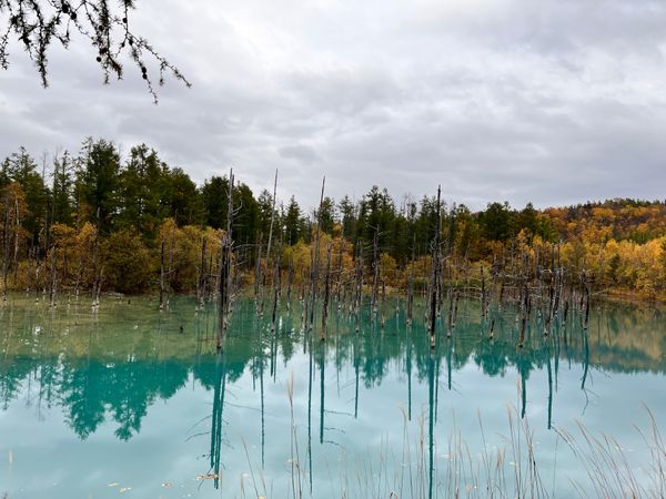 「北海道」の写真