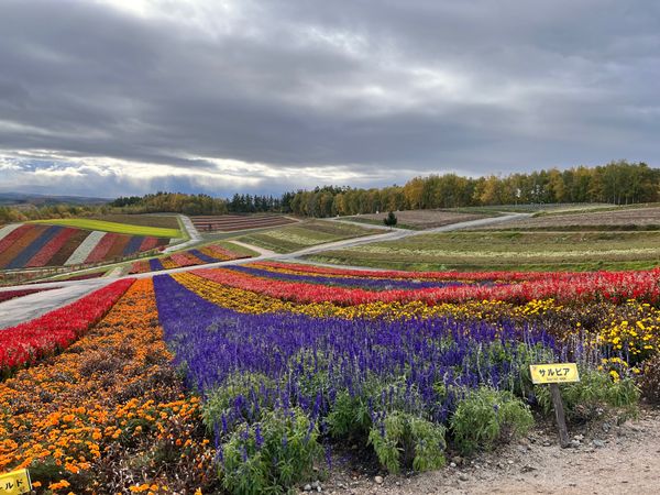 「北海道」の写真