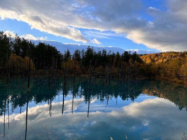 「北海道」の写真