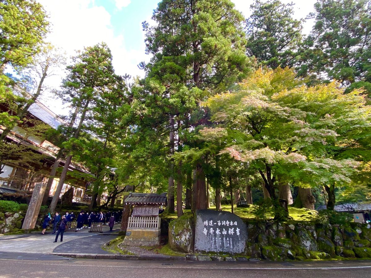 永平寺

ずっと行ってみたかった永平寺
この日の午後は飛行機まで時間に余裕...