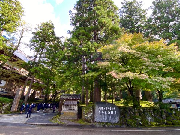 日本・福井県「心労たっぷりの金沢・福井出張」の写真：永平寺

ずっと行ってみたかった永平寺
...