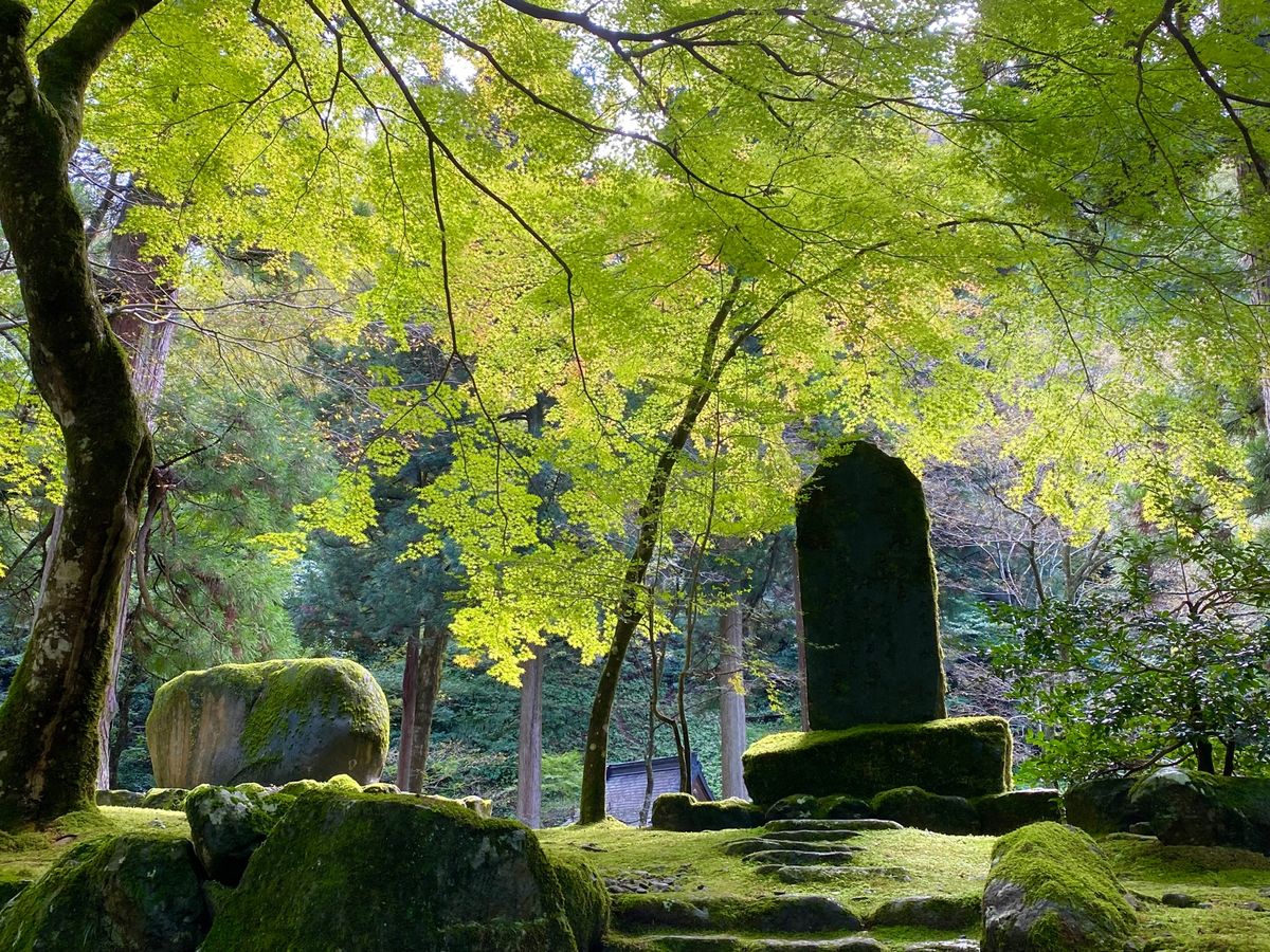 永平寺

ずっと行ってみたかった永平寺
この日の午後は飛行機まで時間に余裕...