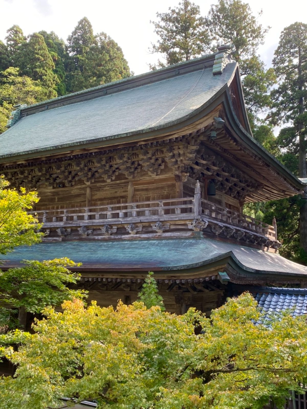 永平寺

廊下や階段がカッコよくて
何枚も写真撮ったんだけど
なんかいまい...