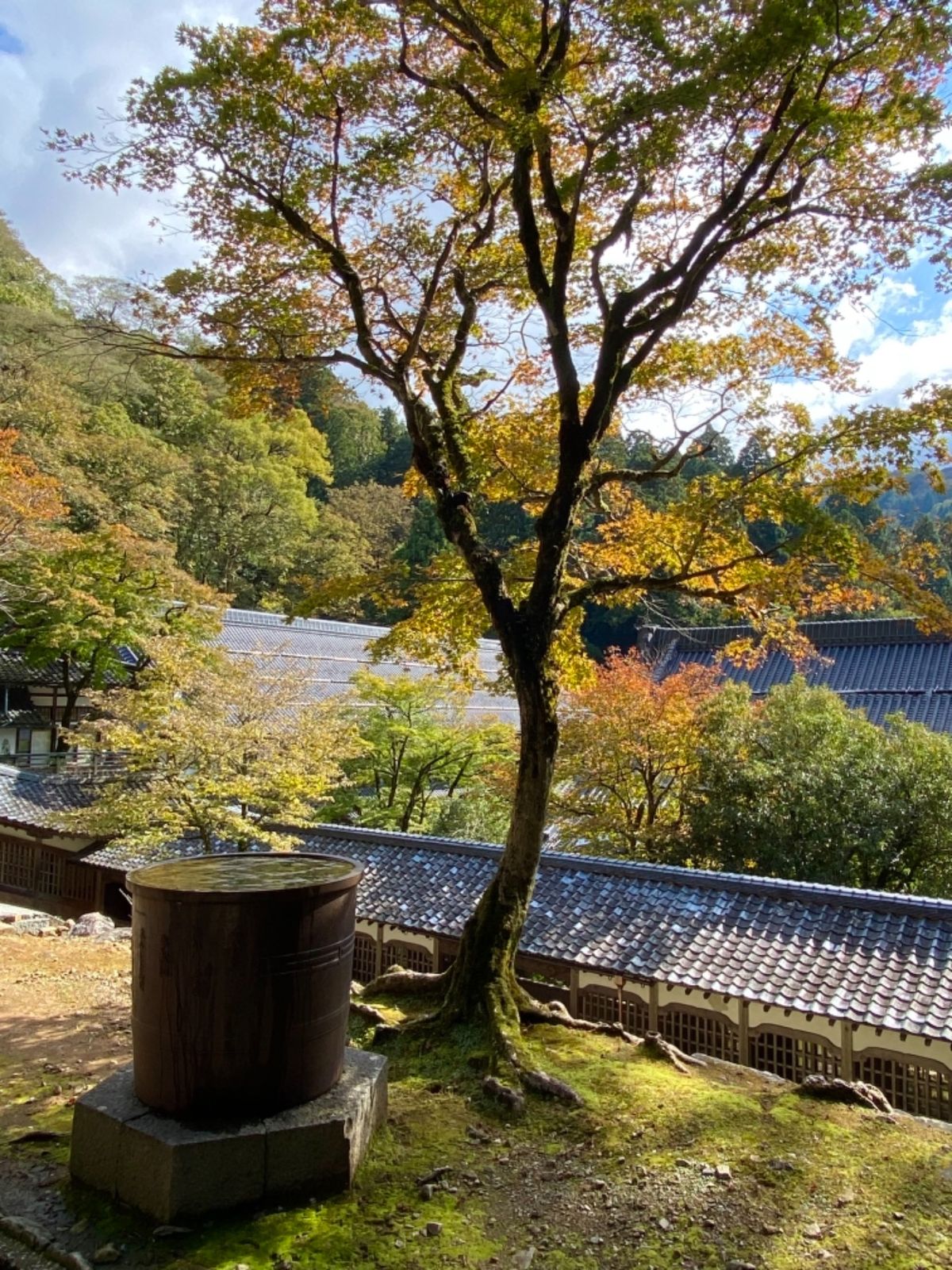 永平寺

廊下や階段がカッコよくて
何枚も写真撮ったんだけど
なんかいまい...