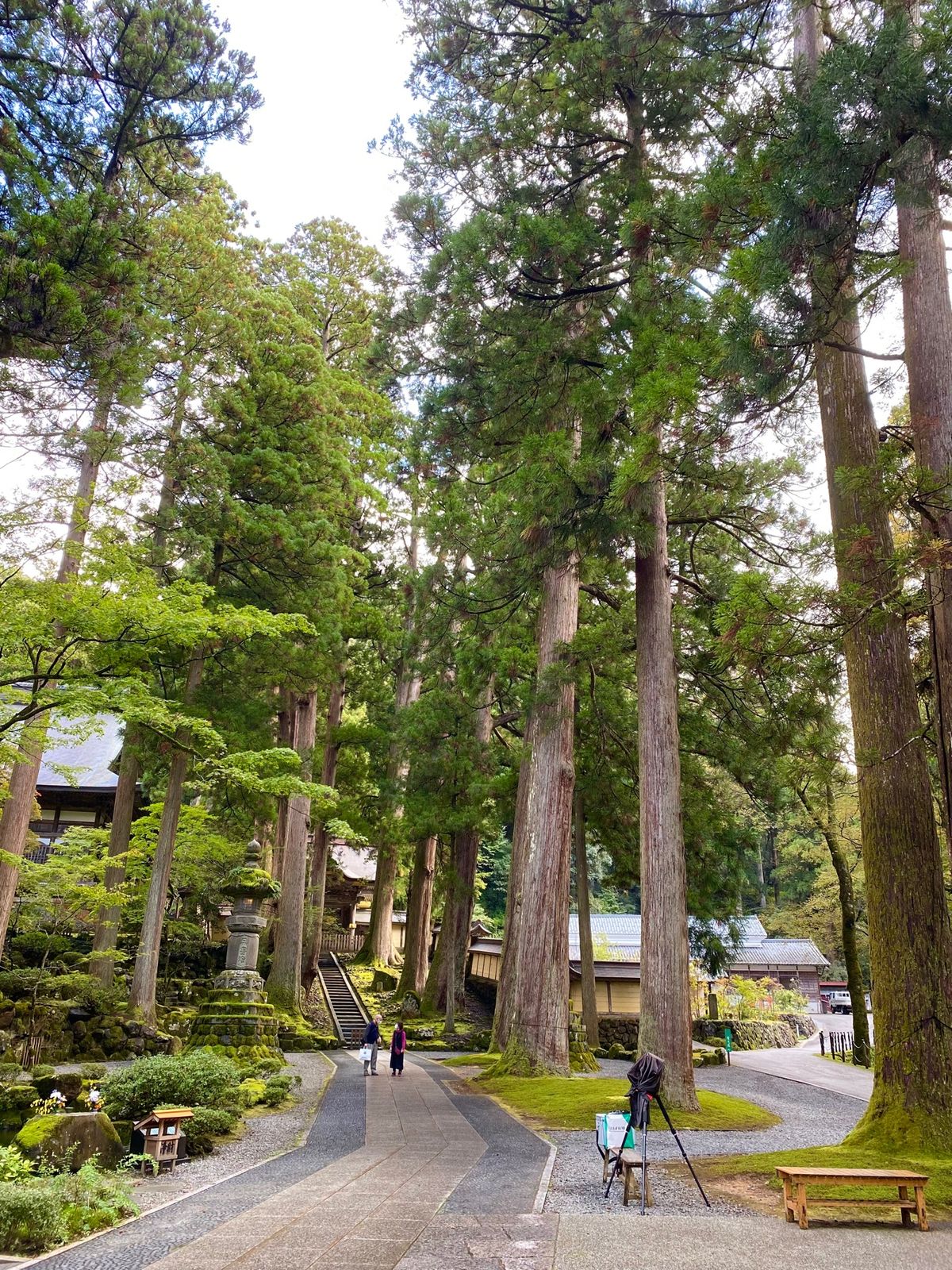 永平寺

ずっと行ってみたかった永平寺
この日の午後は飛行機まで時間に余裕...
