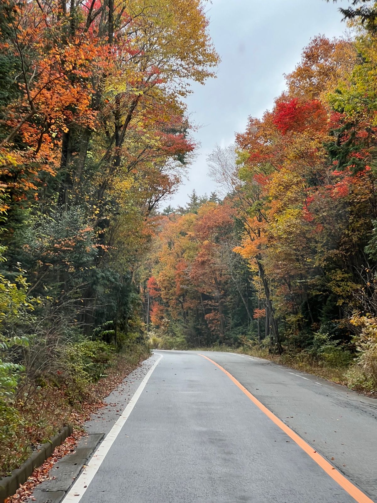 富士山の紅葉が綺麗ですー