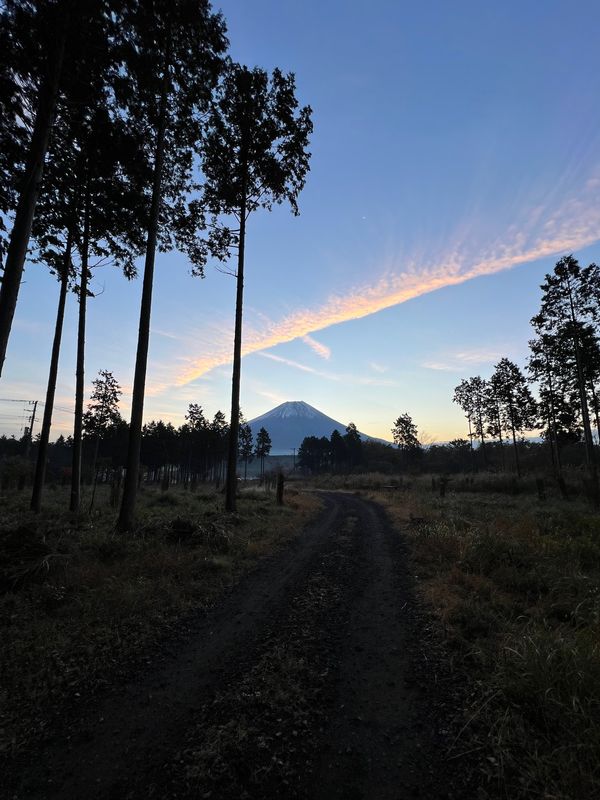 日本・山梨県「ふもっぱらキャンプ/Mercedes me Forest」の写真：ふもっぱら林間サイトからの富士山

富士...