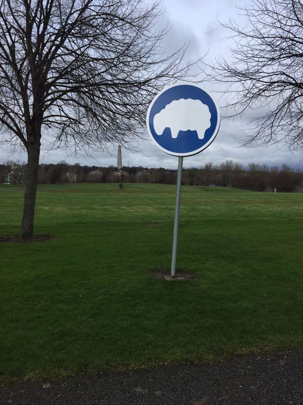アイルランド・ダブリン「アイルランド短期留学」の写真：日本では見ることのない標識🐏