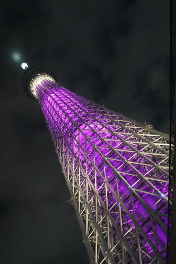 日本・東京都「ついでに東京観光」の写真