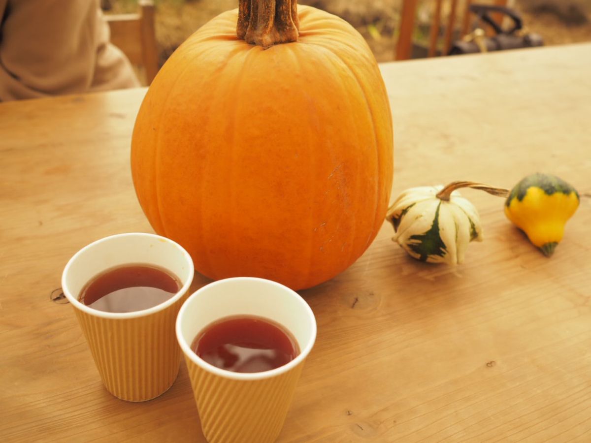 #リゾナーレ那須