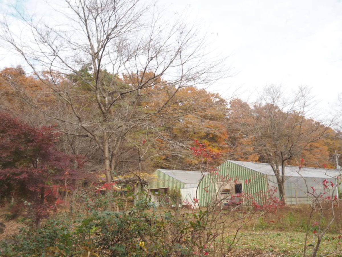 #リゾナーレ那須