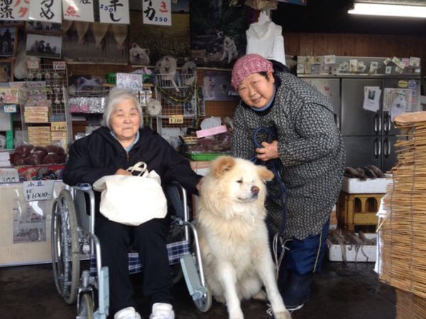 日本・青森県「鯵ヶ沢、菊谷さん、わさお君」の写真