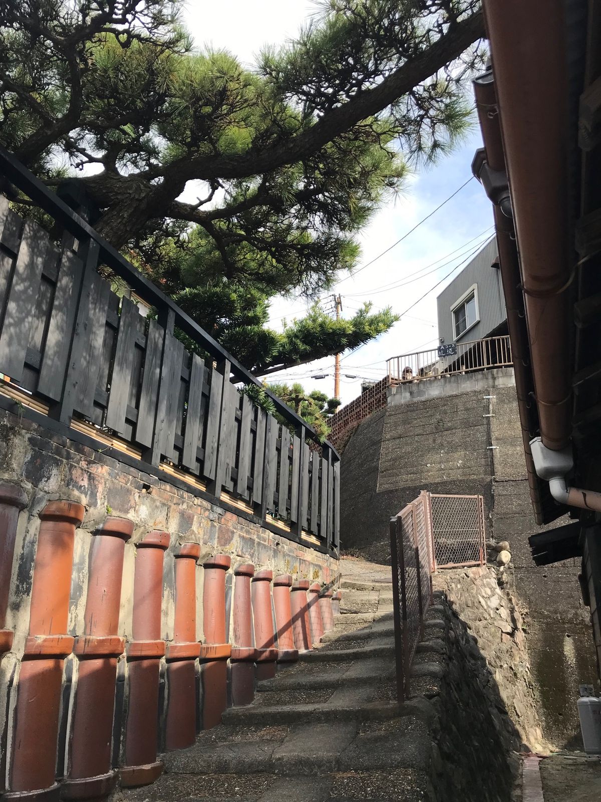 常滑の見守り猫、とこにゃん(=^x^=)
夜は、ちょっと不気味⁉︎

やき...