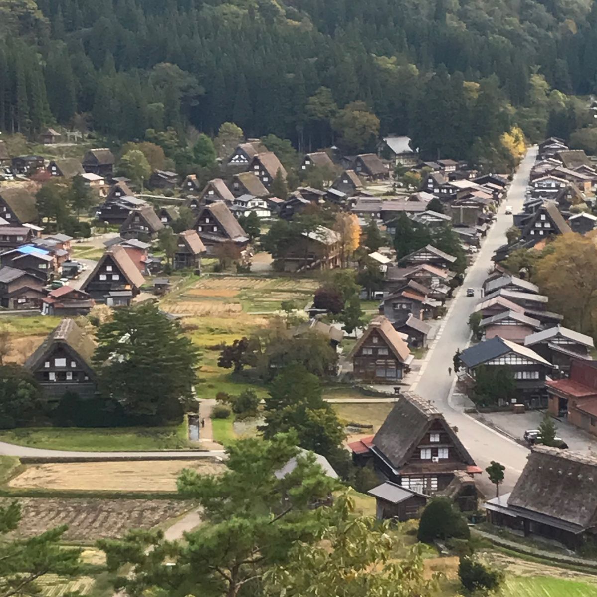ついに白川郷へ！
こんな秘境なのに観光客よく来るなぁ、と感心もしたりして。...