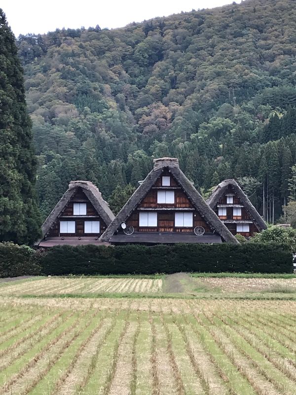 日本・白川郷「愛知・岐阜の旅」の写真：ついに白川郷へ！
こんな秘境なのに観光客...