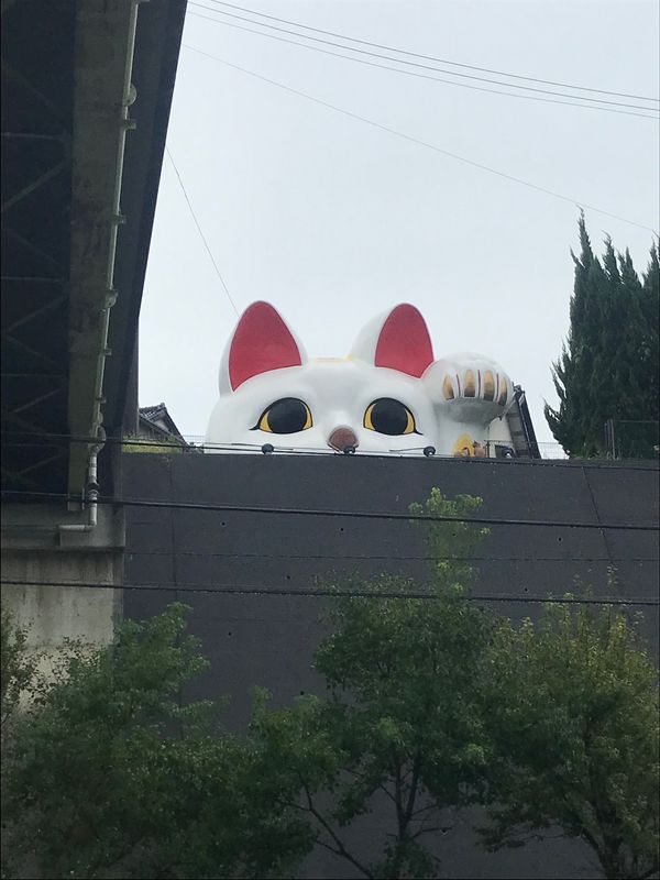 常滑の見守り猫、とこにゃん(=^x 愛知・岐阜の旅 - グッド