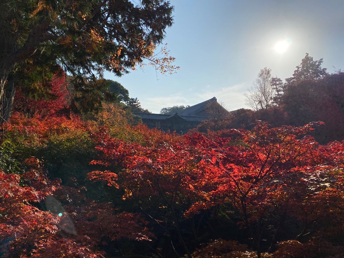 嵐山祐斎亭　西陣富田屋　東福寺