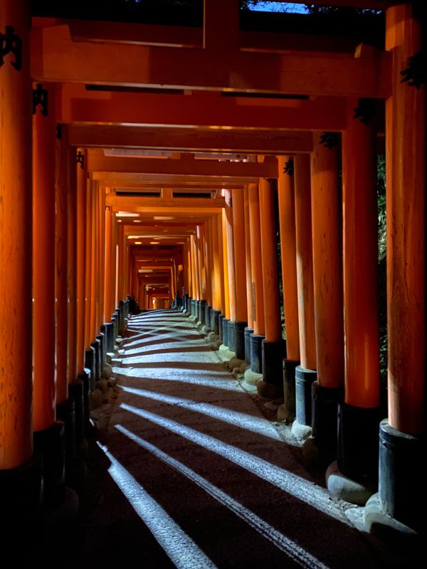 日本・京都府「美術館・紅葉巡り　京都」の写真：夜明けの伏見稲荷大社