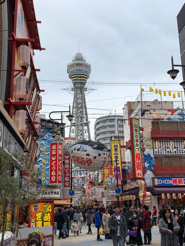 日本・京都「京都　大阪　太紀に会いに」の写真
