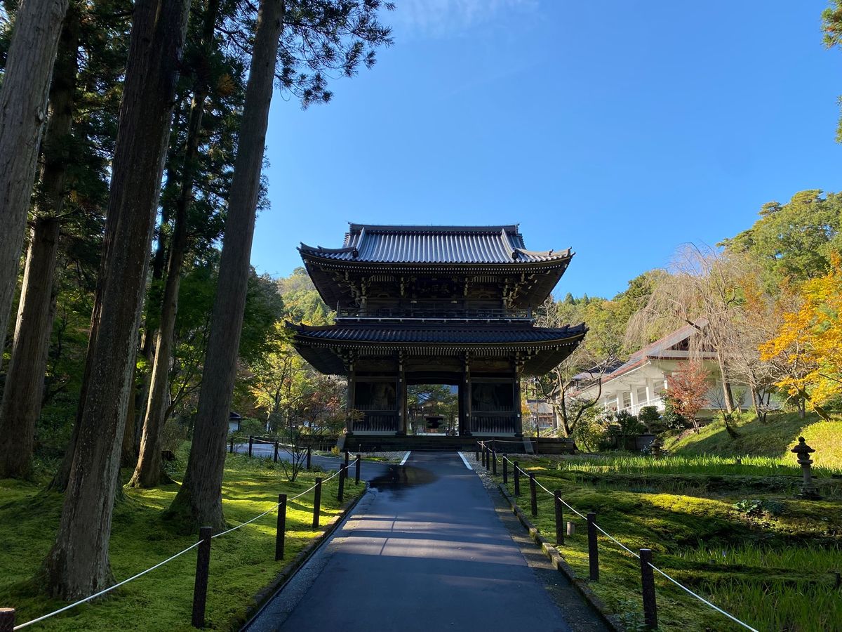 林泉寺！