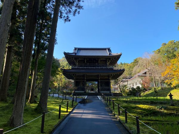 日本・新潟県「新潟旅！」の写真：林泉寺！