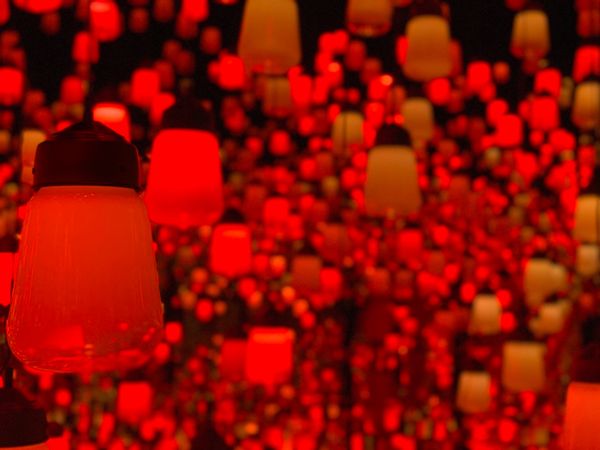 日本・東京都「APACセレモニーで東京出張」の写真：この日は有給を取って
チームラボボーダレ...