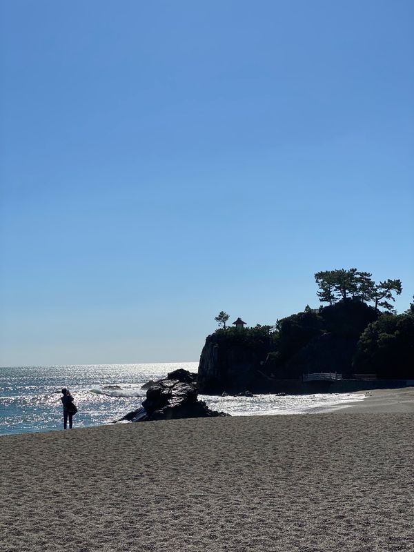 日本・高知県「高知旅行」の写真