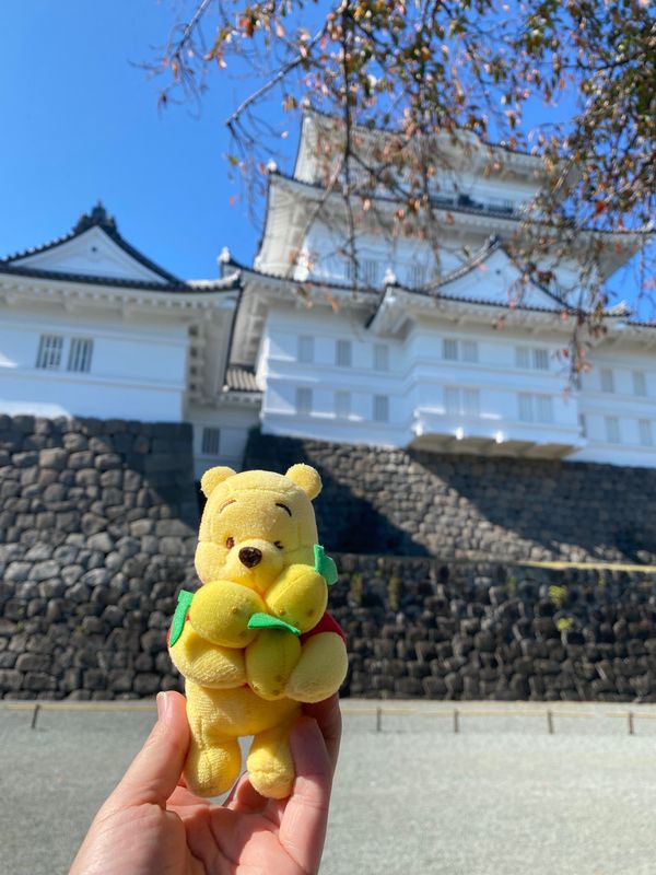 日本・小田原城「小田原城・江の浦測候所　2021.11」の写真