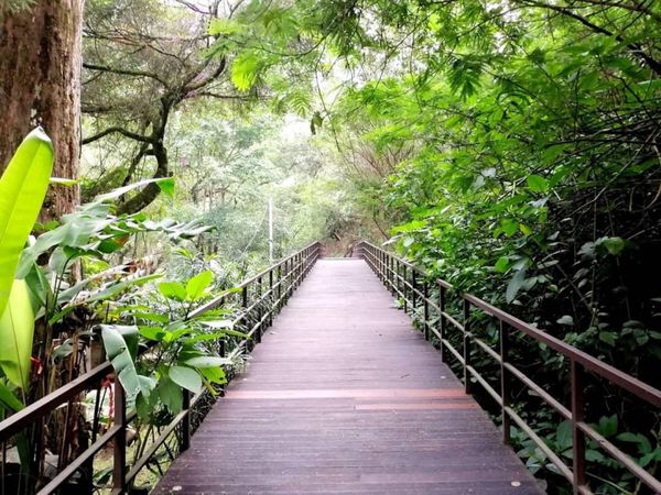 インドネシア・バリ「独旅」の写真