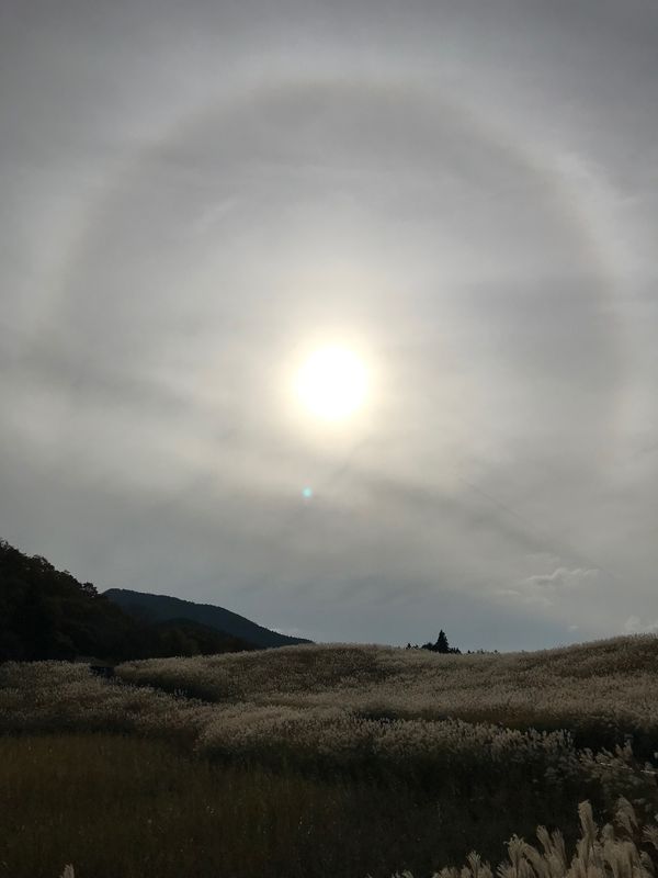 日本・奈良県「曽爾高原」の写真