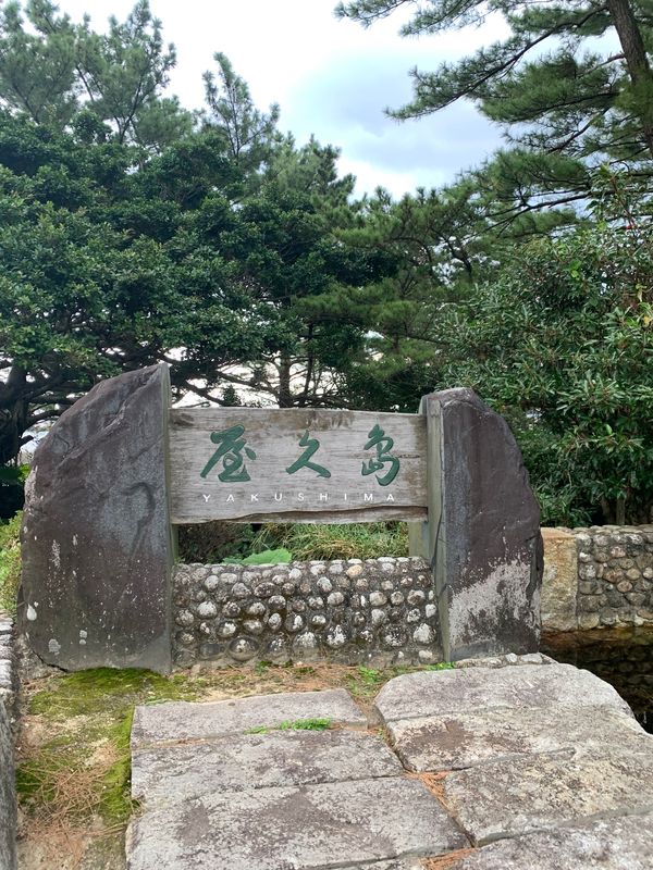 日本・屋久島「誕生日旅行」の写真：全部大満足