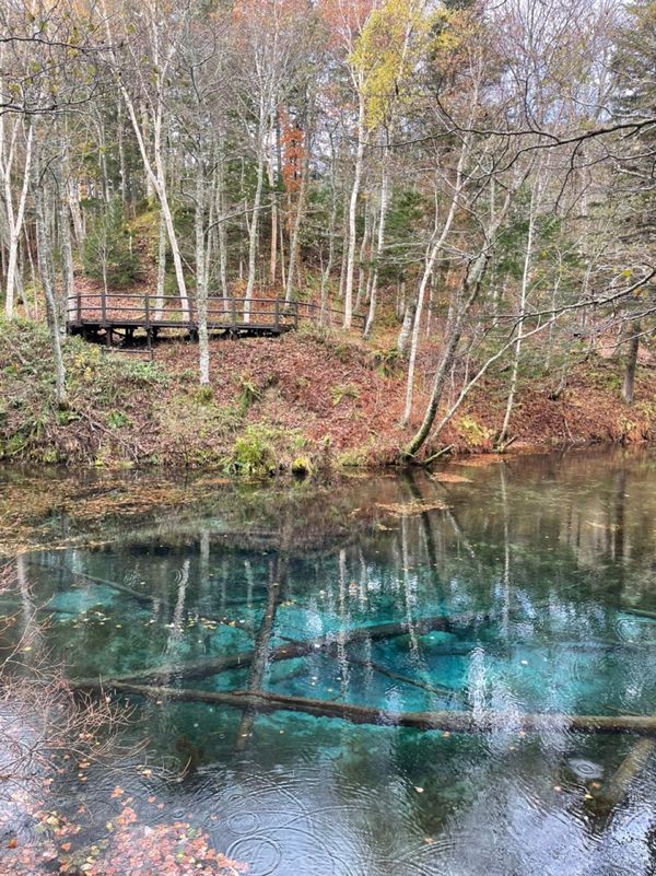 「北海道」の写真